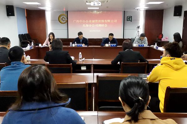 中小擔(dān)保領(lǐng)導(dǎo)赴北海、防城港調(diào)研 