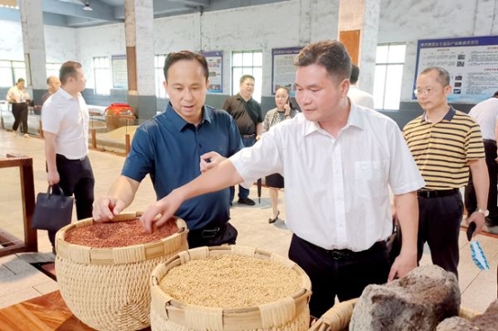 中小擔(dān)保領(lǐng)導(dǎo)赴區(qū)內(nèi)各地市開展“雙過(guò)半”督導(dǎo)